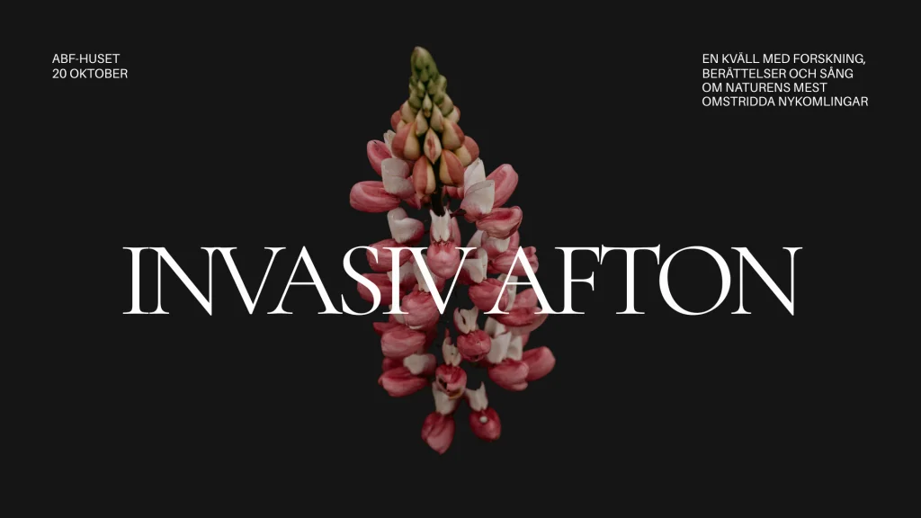 Invasiv afton