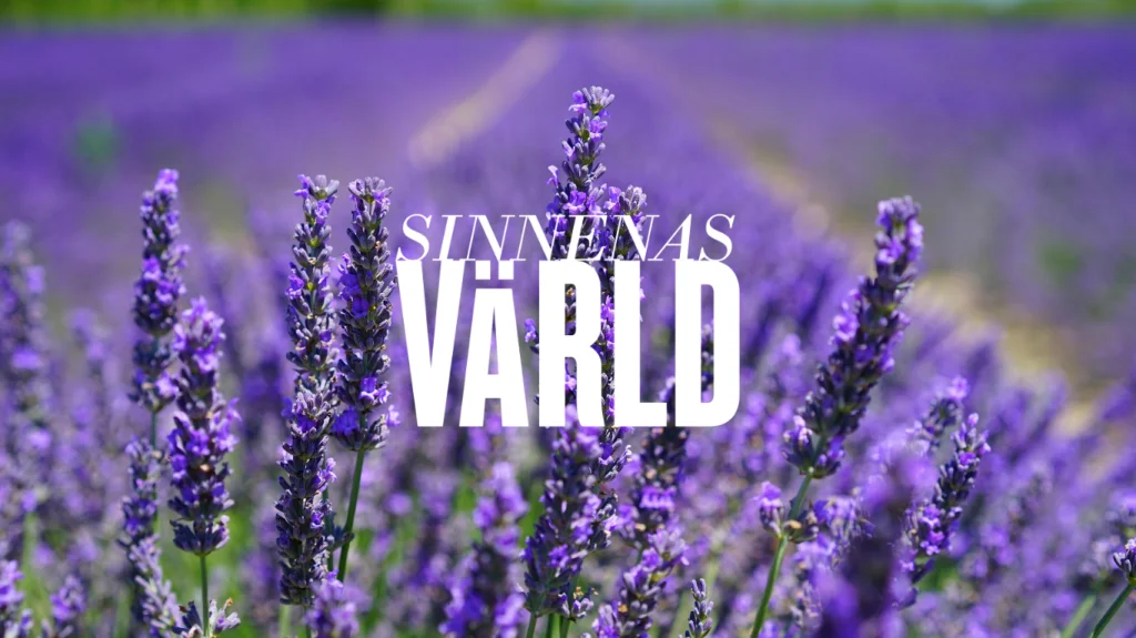 Med doft av lavendel