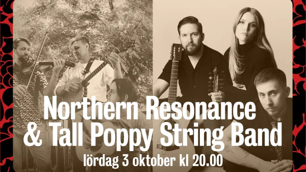 Northern Resonance & Tall Poppy Stringband